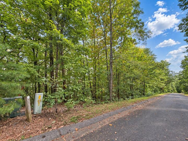 Property Photo: 35 Saw Blade Lane GA 30540