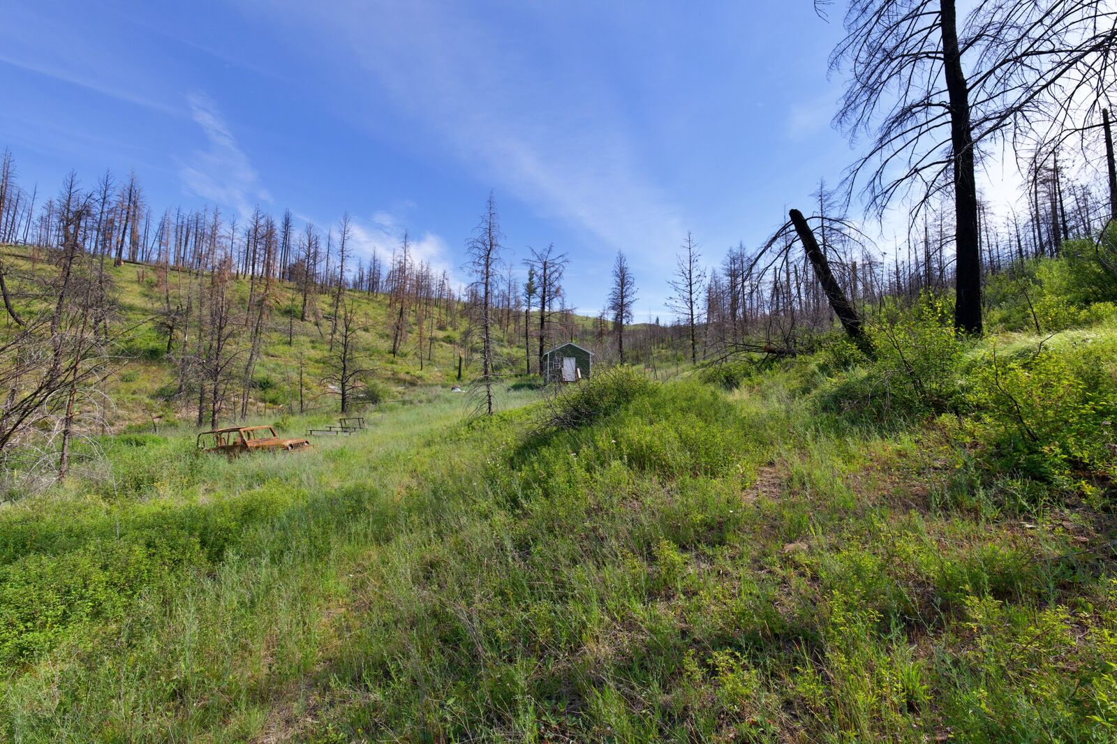 Property Photo: 185 Lower Lamaraux Creek Road MT 59856
