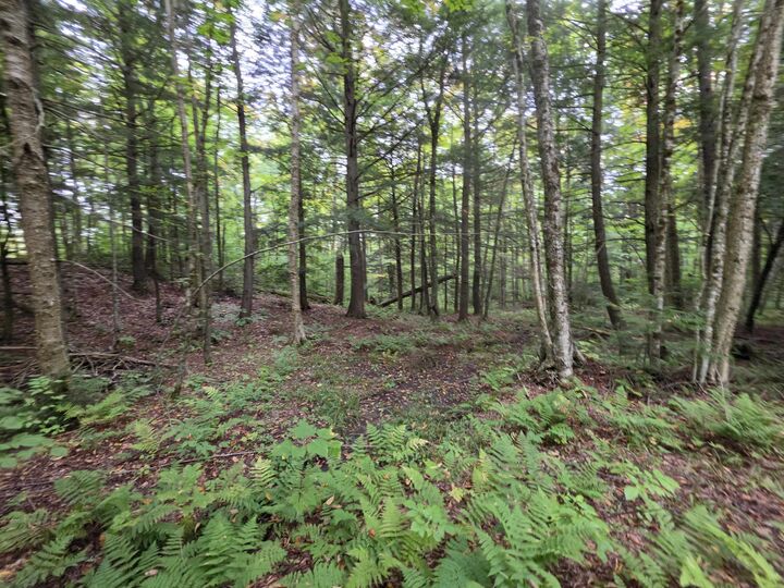 Property Photo:  Lot#7 Woodland Drive  VT 05859 