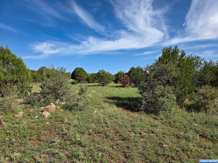 Property Photo:  37-X3 Black Dog Road  NM 88061 