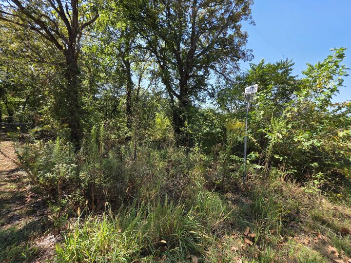 Property Photo:  000 E Abbott Road  MO 64783 