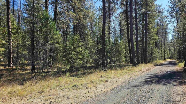 Property Photo:  385X Agar Rd  WA 99148 