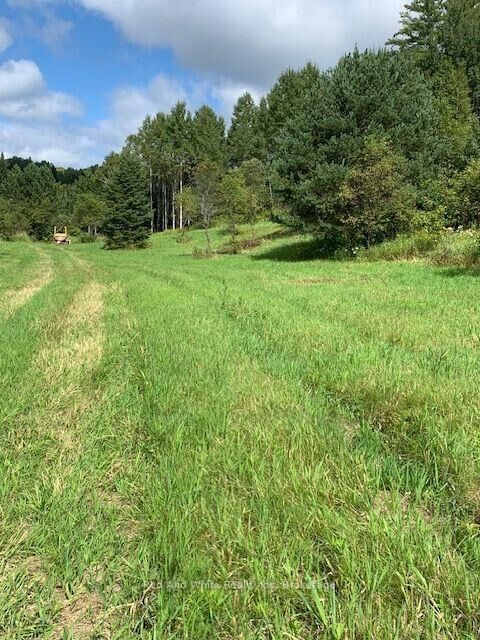Property Photo:  0 Three Mile Lake Road  ON P0A 1L0 