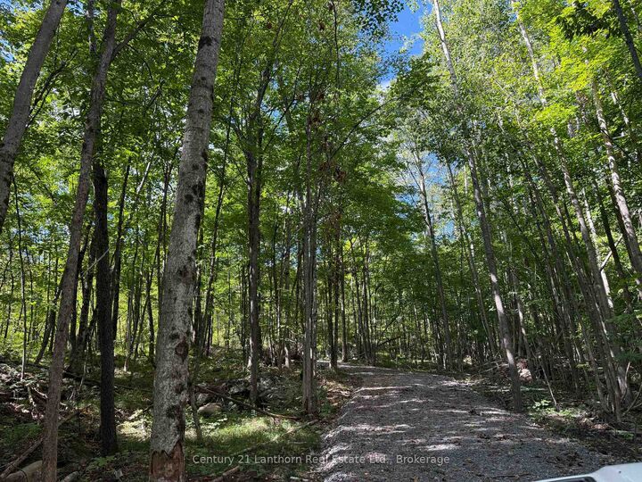 Property Photo:  00 Middle Lot Highway 62 N/A  ON K0K 2K0 