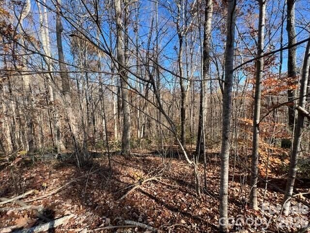 Property Photo:  Tbd Trail Ridge Drive 113  NC 28752 