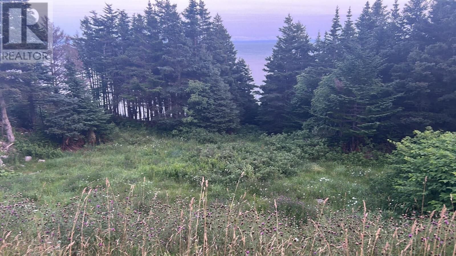 Property Photo:  485 Oceanview Drive  NL A0N 1T1 