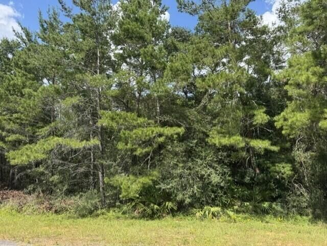 Property Photo:  Lot 8 Bushton Street  FL 32566 
