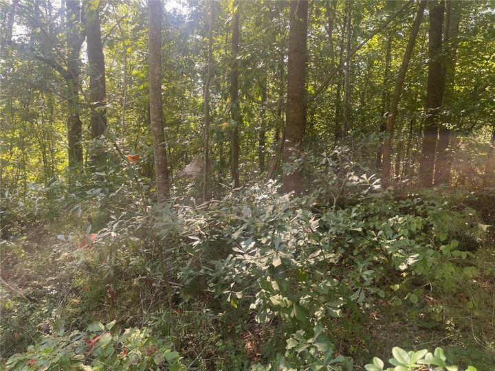 Property Photo: 0 Apache Trail GA 30557