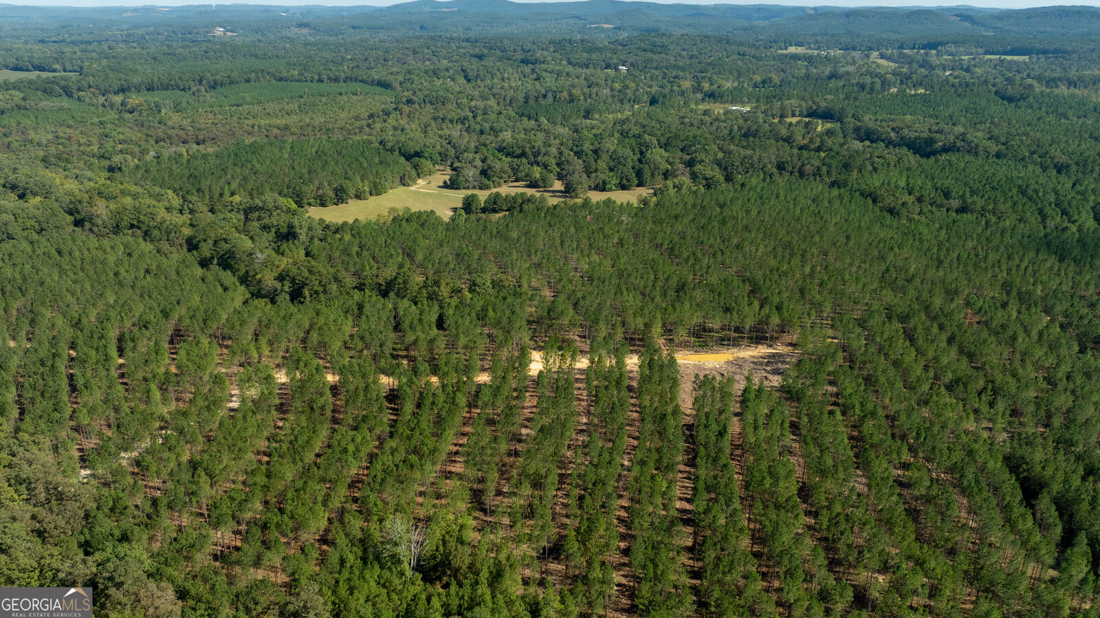 Property Photo: Tracts 13,14, 1 Livingston Rd SW GA 30161