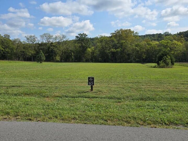 Property Photo: Lot 65 River Ridge Drive TN 37327