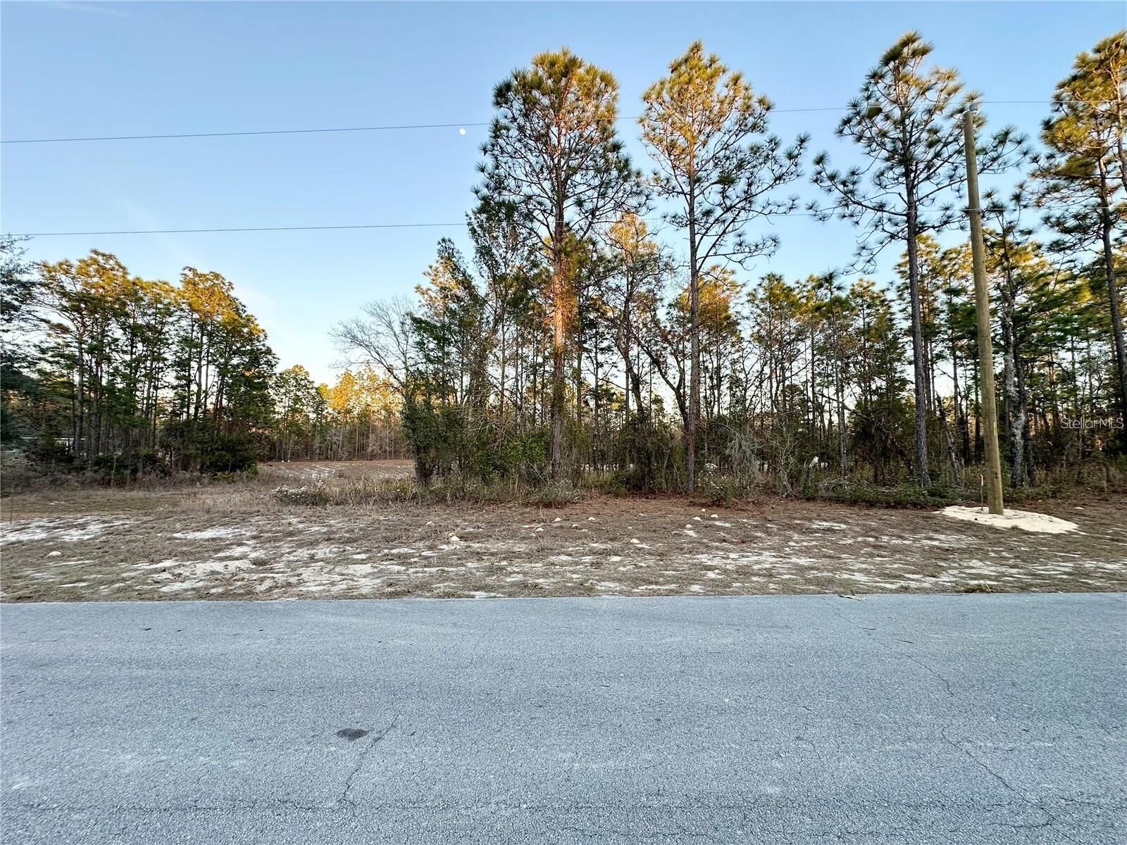 Property Photo: 0 SW 88th Court FL 34473