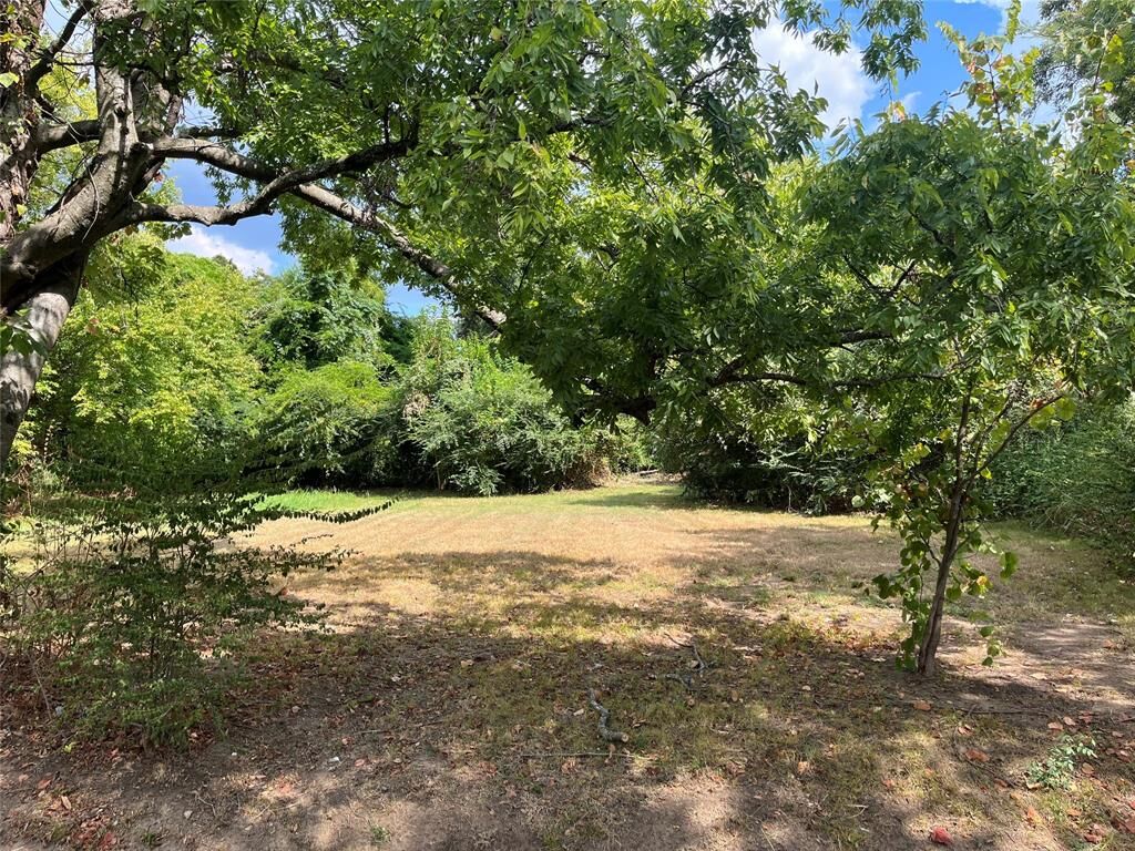Property Photo:  1024 NE 3rd Street  TX 75460 
