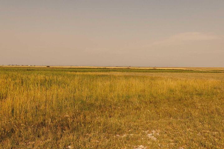 Property Photo:  Parcel 1 Range Road 271 Just South Of Highway 9.  AB T0M 1G0 