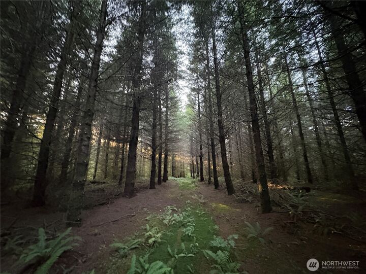 Property Photo: 0 Nka Wiest Road WA 98632