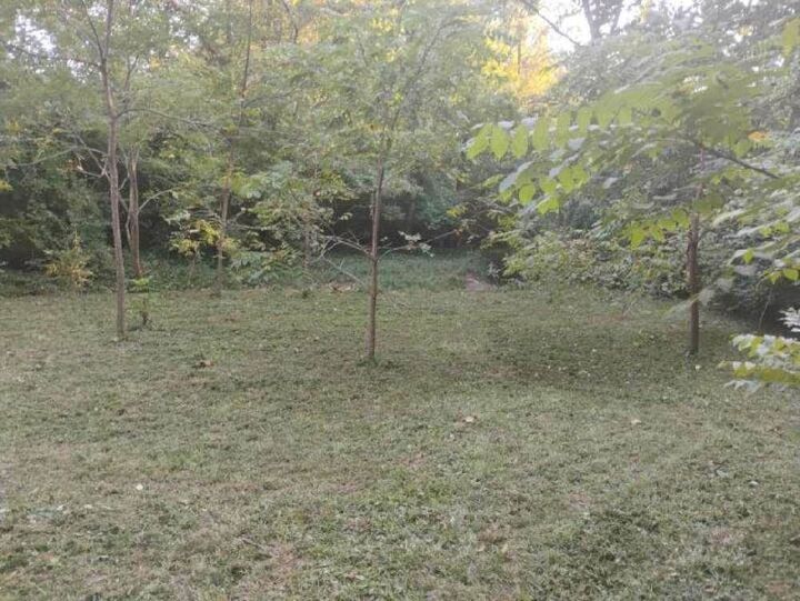 Property Photo:  339 S East Street  IN 47240 