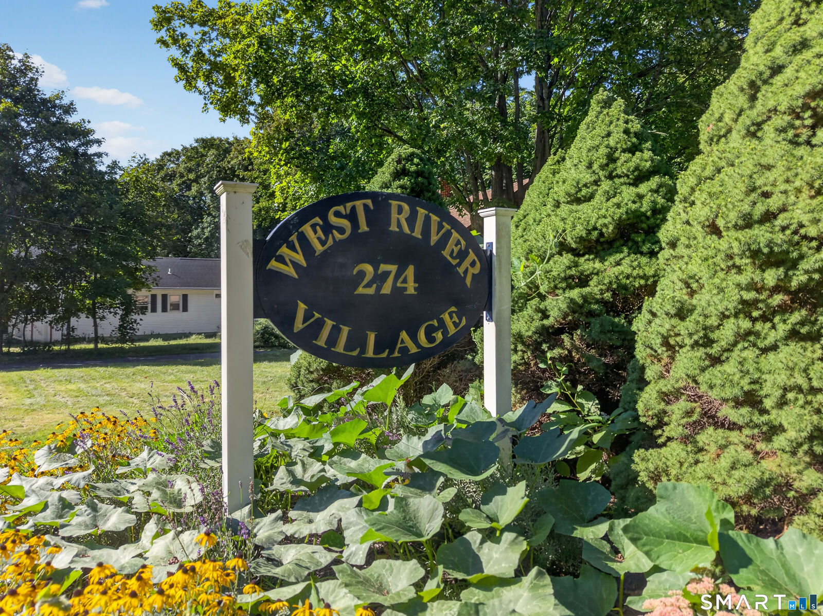 Property Photo:  274 Church Street 7E  CT 06437 