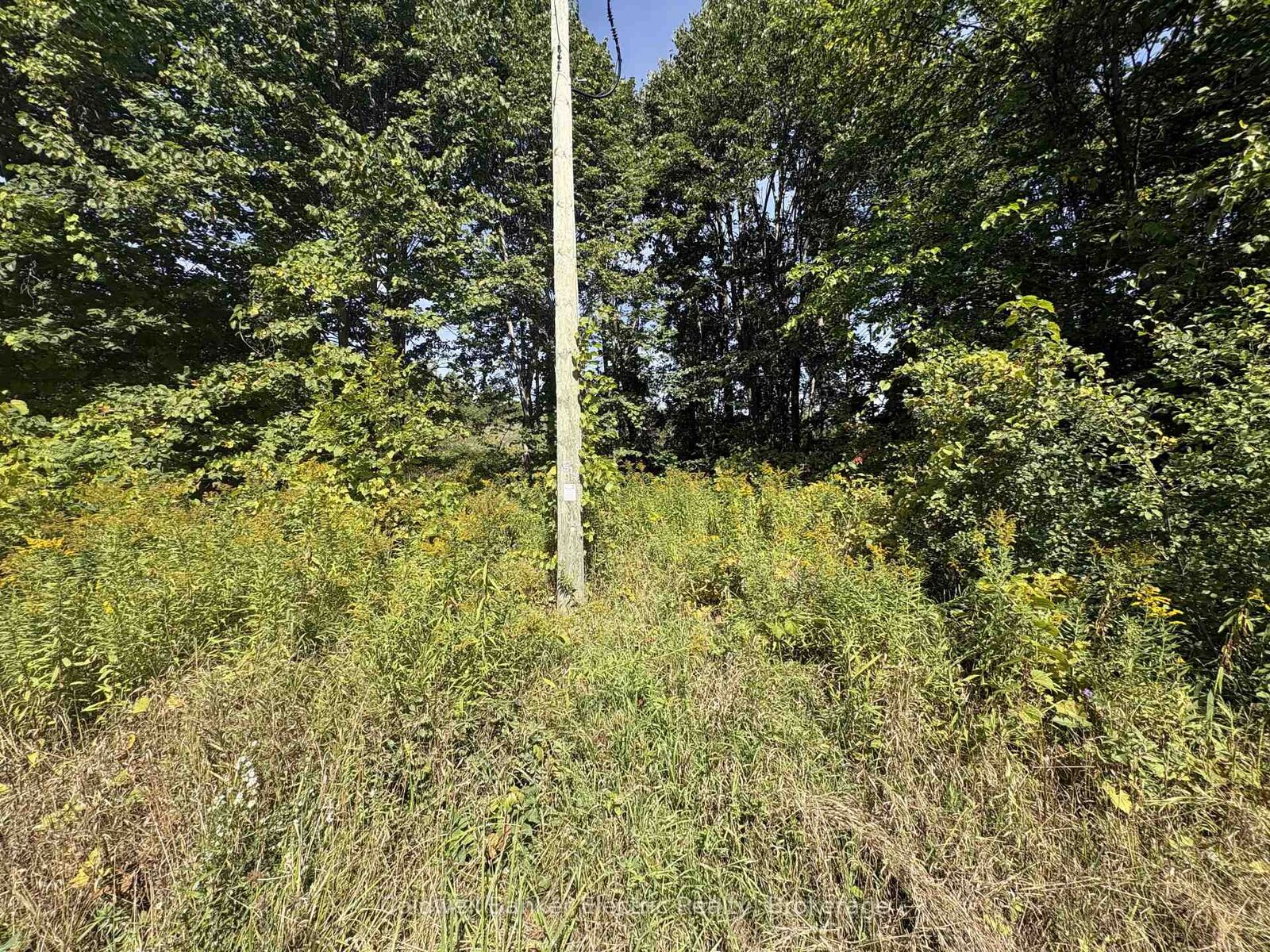 Property Photo: 0 Ingham Road (Lot 1 - West) N/A ON K0K 1C0