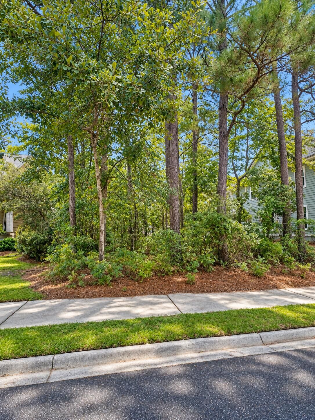 Property Photo:  116 Red Bay Lane  SC 29483 