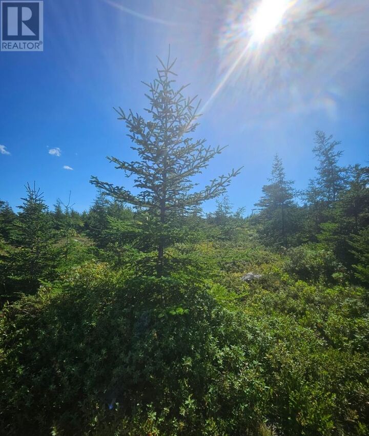 Property Photo:  95A Chipmans Road  NL A0A 3X0 