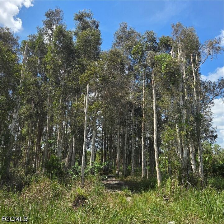 Property Photo:  3130 Meadow Road  FL 33974 