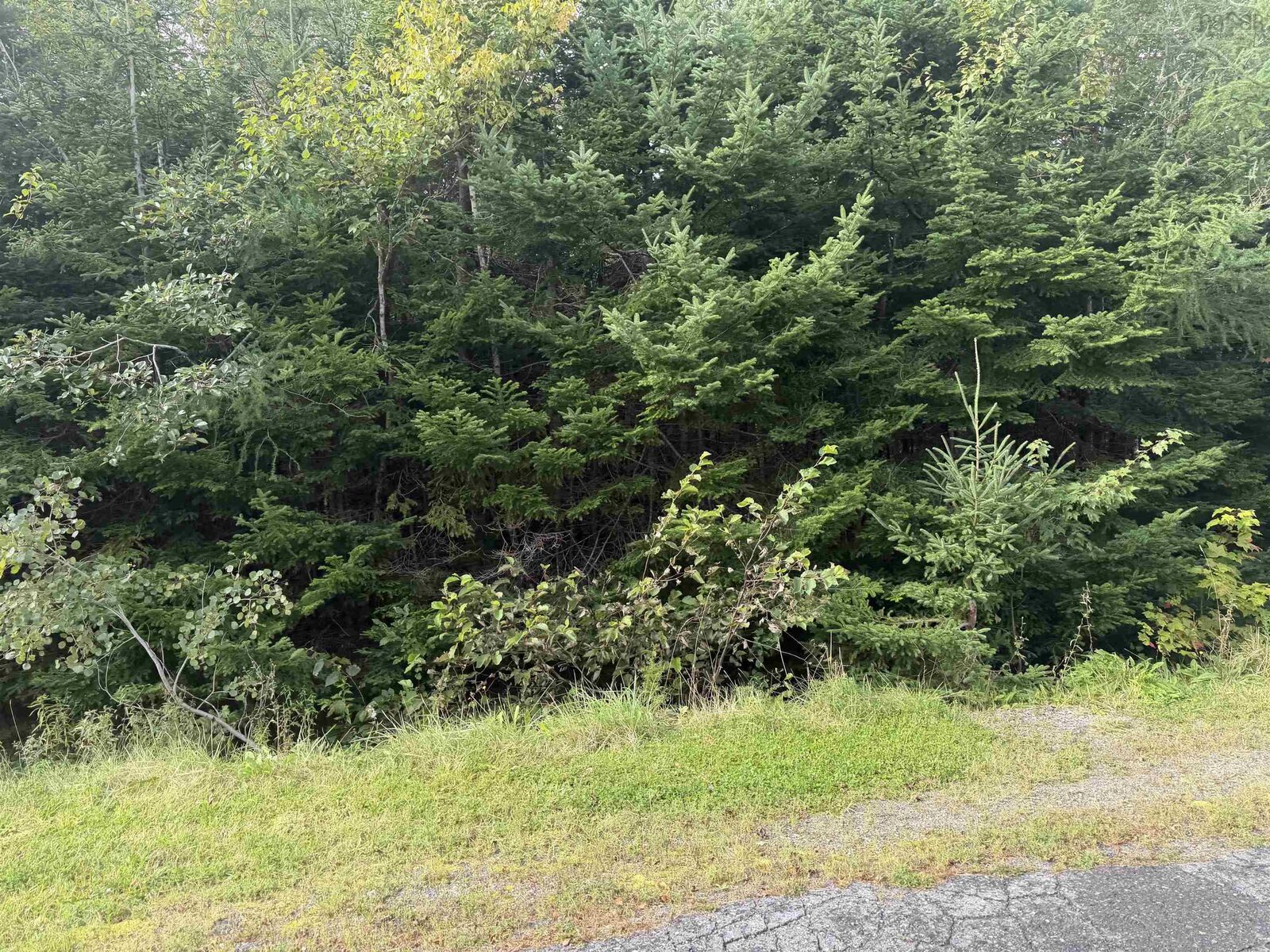 Property Photo:  Lot 11 Schaller Drive  NS B1L 1A1 