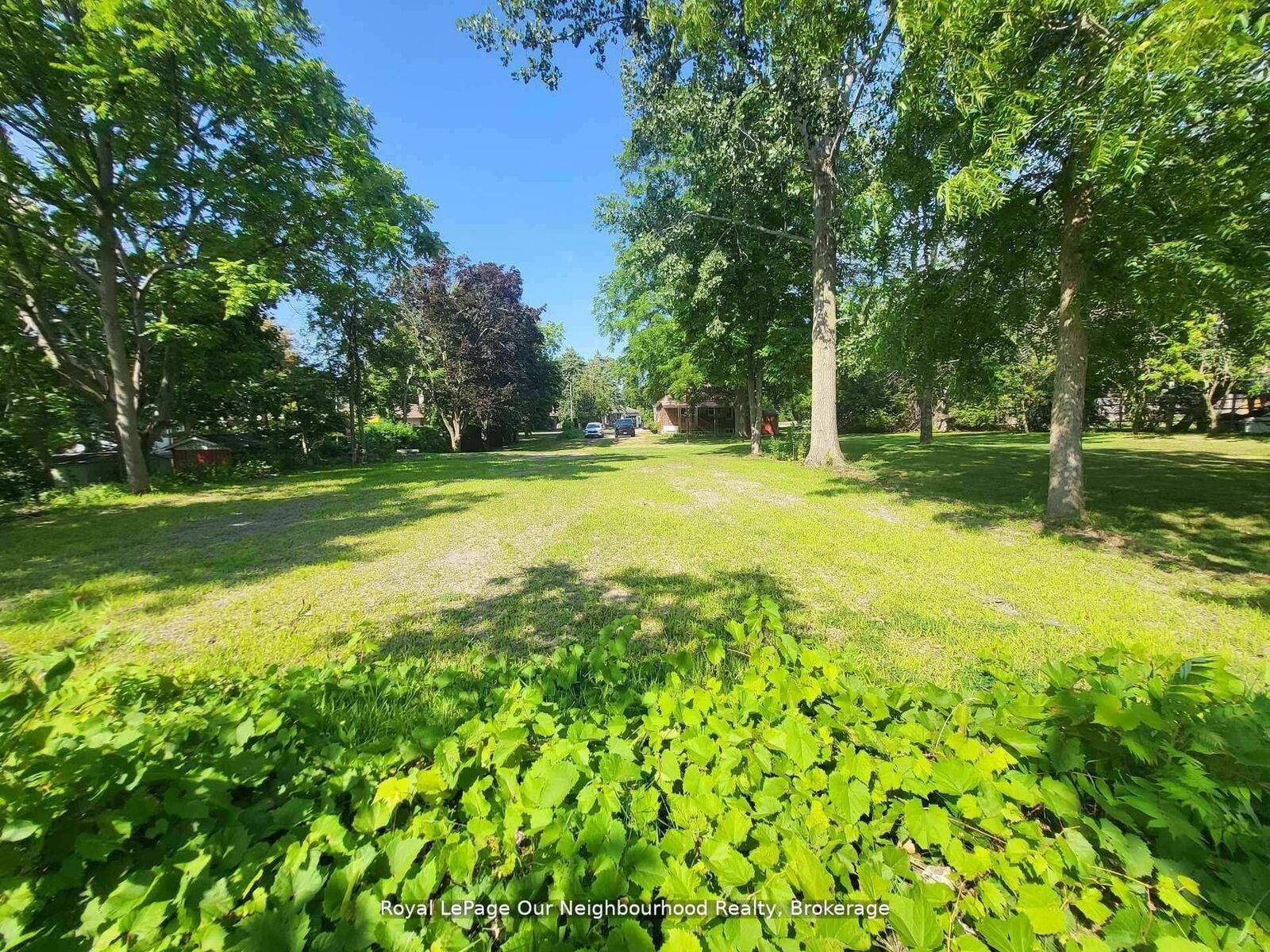 Property Photo:  62 Redfern Crescent  ON L1C 2M6 