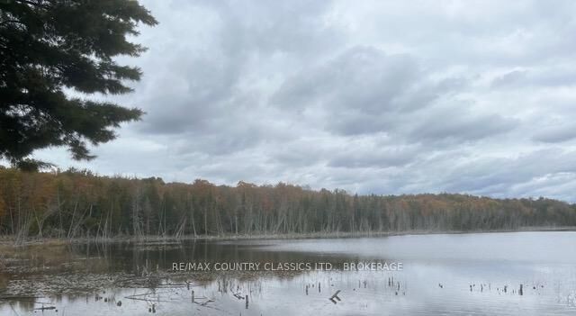Photo de la propriété:  Lt 1, Pl 1839 Bull Lake Road  ON K0H 1B0 