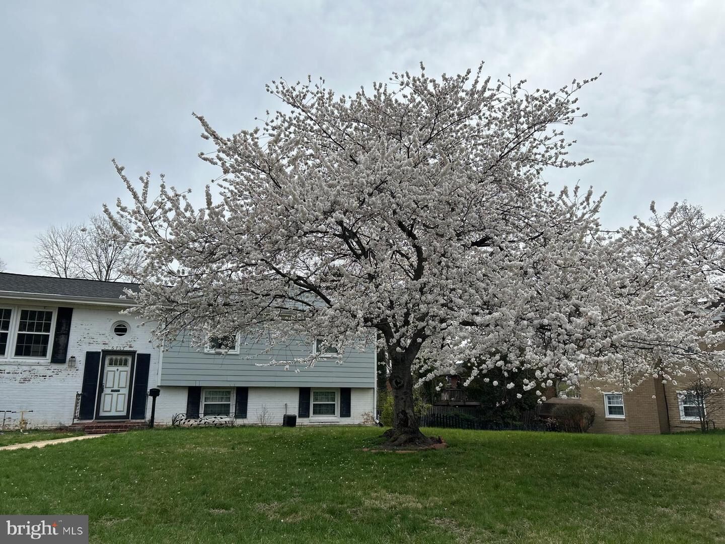 Property Photo: 6717 Anthony Street VA 22306