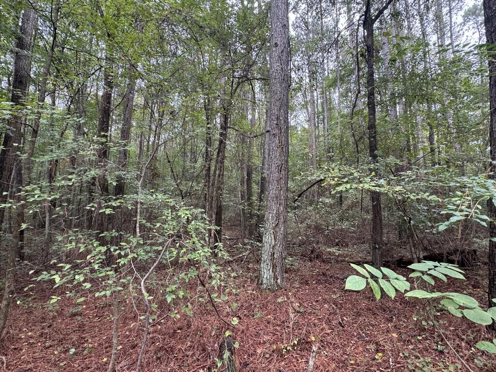 Property Photo: 740 Poplar Springs Road GA 30721