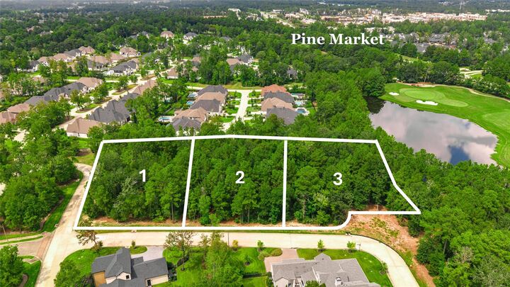 Property Photo: 104 Castle Pines Drive TX 77316