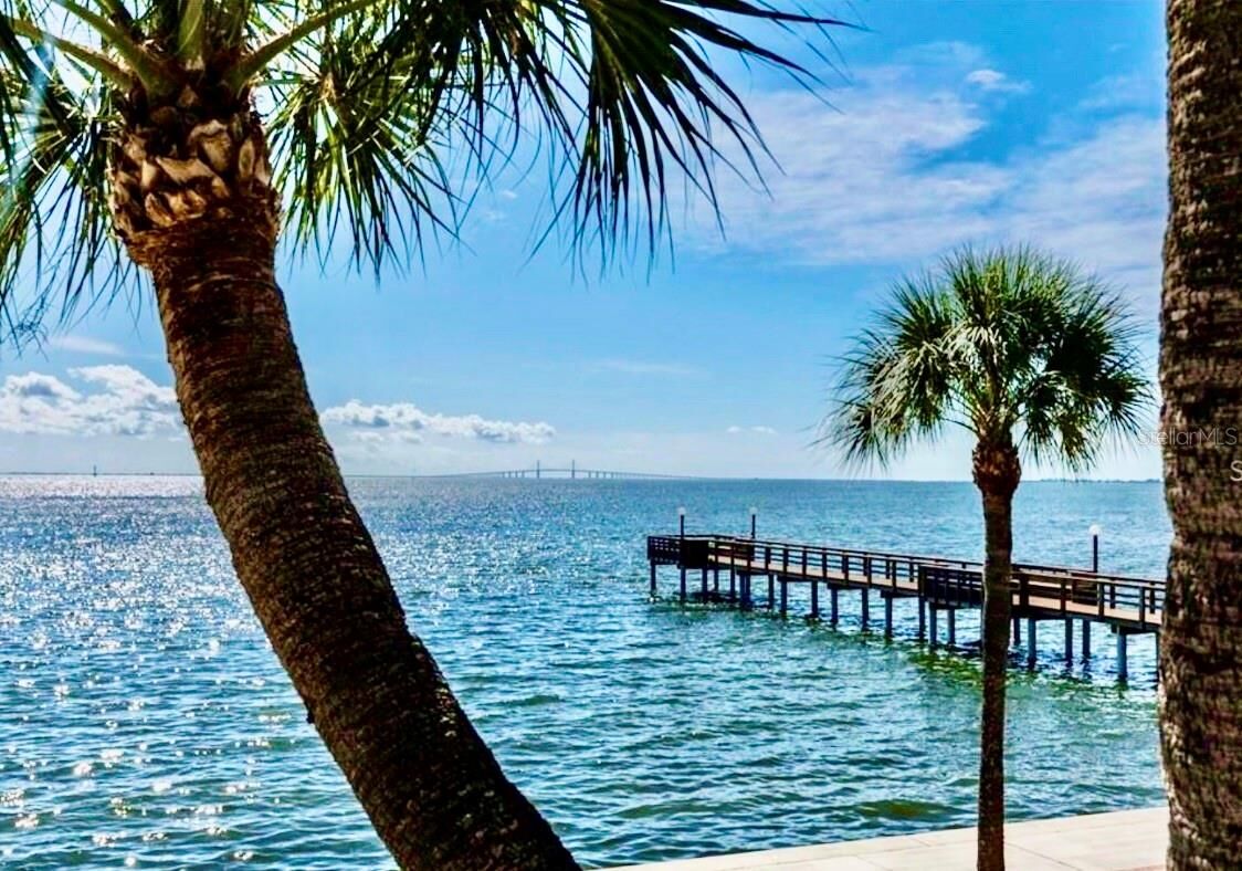 Property Photo:  650 Pinellas Point Drive S 240  FL 33705 