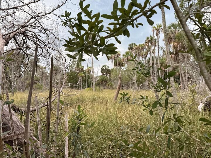 Property Photo: 12039 W Fort Island Trail FL 34429