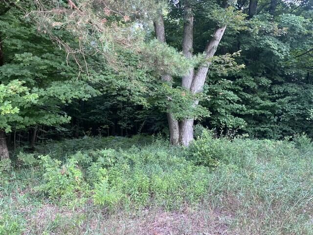 Property Photo: 14 Acres 9 Mile Road MI 49645