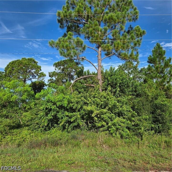 Property Photo:  1250 Blaine Avenue  FL 33913 