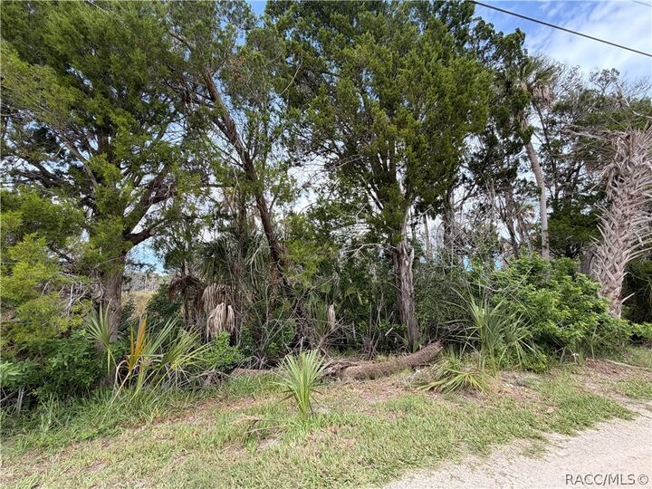 Property Photo:  11975 W Waterwood Drive  FL 34429 