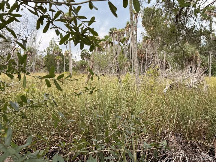 Property Photo:  12039 W Fort Island Trail  FL 34429 