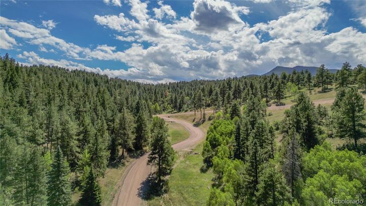 Property Photo:  N Turkey Creek Road  CO 80465 