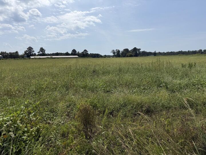 Property Photo:  Tbd B And S Rd.  SC 29569 