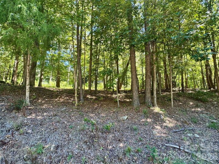 Property Photo:  10062 Southwinds Drive  SC 29707 