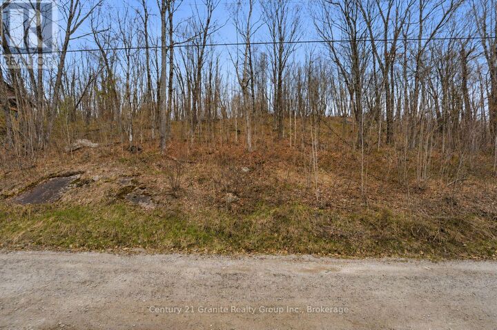 Property Photo:  Pt Lt 6 Brady Lake Road  ON K0M 2K0 