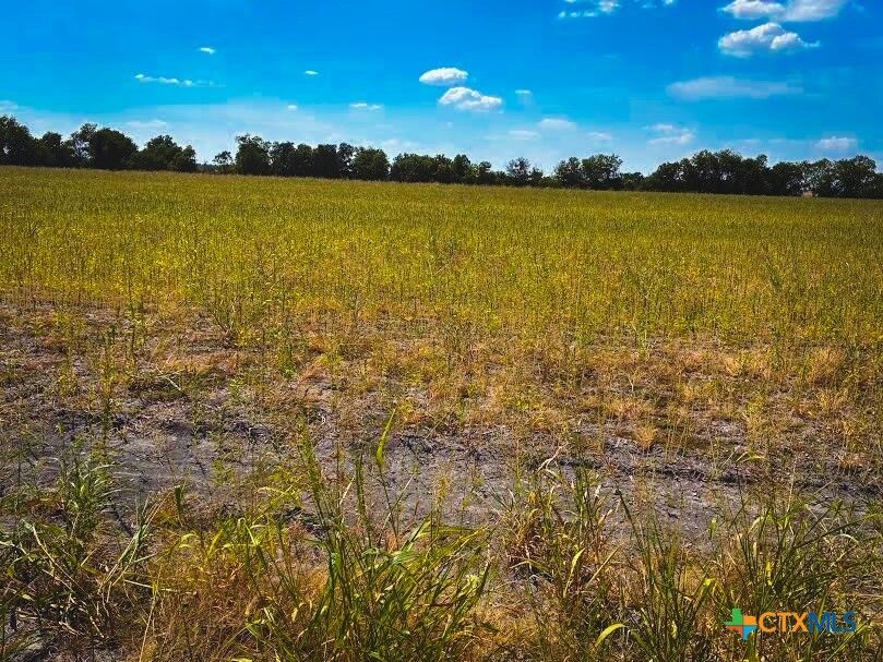 Property Photo:  Tbd Cr 3061  TX 76577 