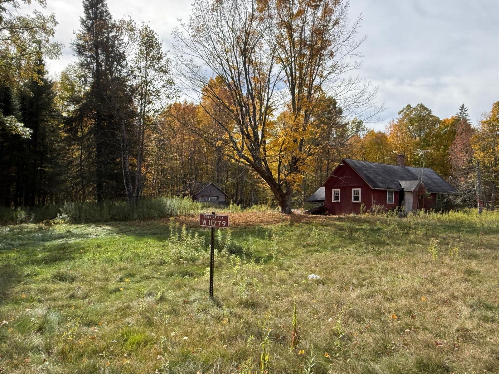 Property Photo:  W11779 Cth W  WI 54555 