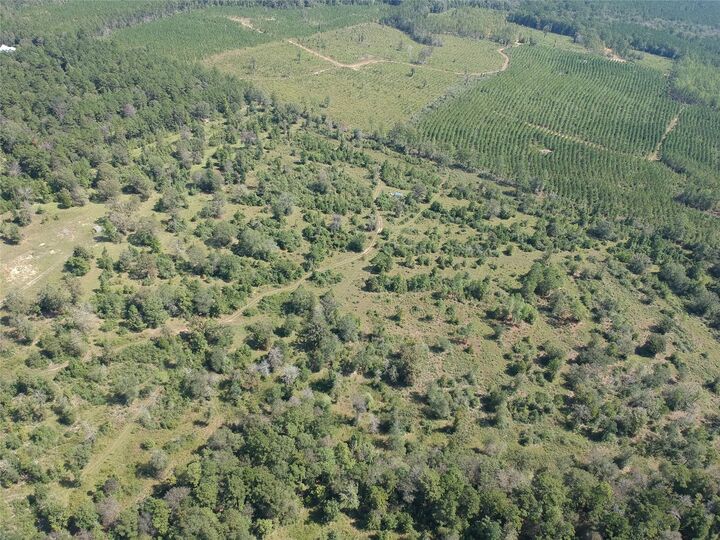 Property Photo: Tract 3 Private Rd 8385 Street TX 77660