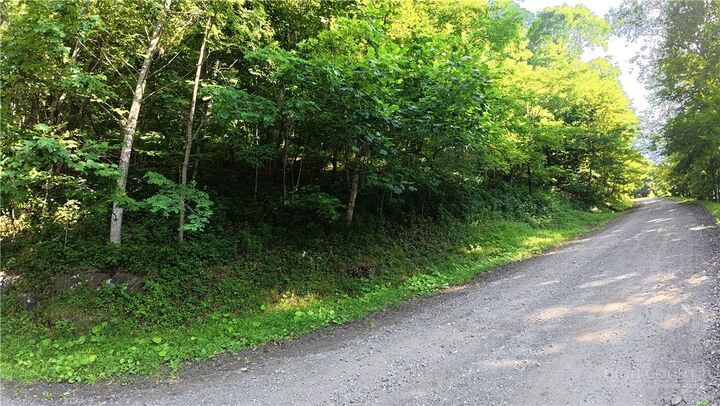 Property Photo:  Tbd Lot Bw Little Tree Road  NC 28694 