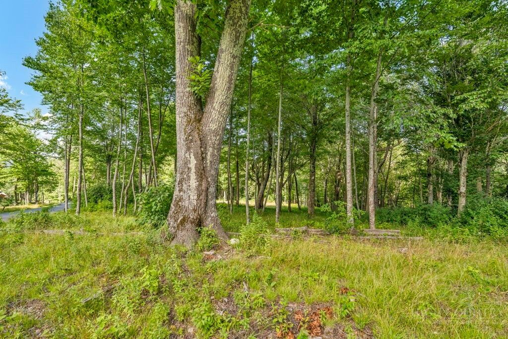 Property Photo:  Lot 13 Great Sky Drive  NC 28604 