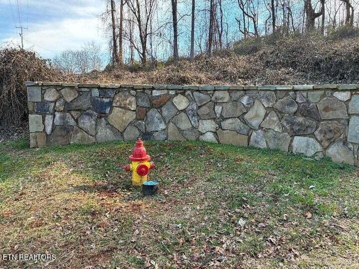 Property Photo:  00 Elm Lane Lot 14 Lane  TN 37874 