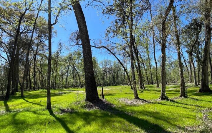 Property Photo: