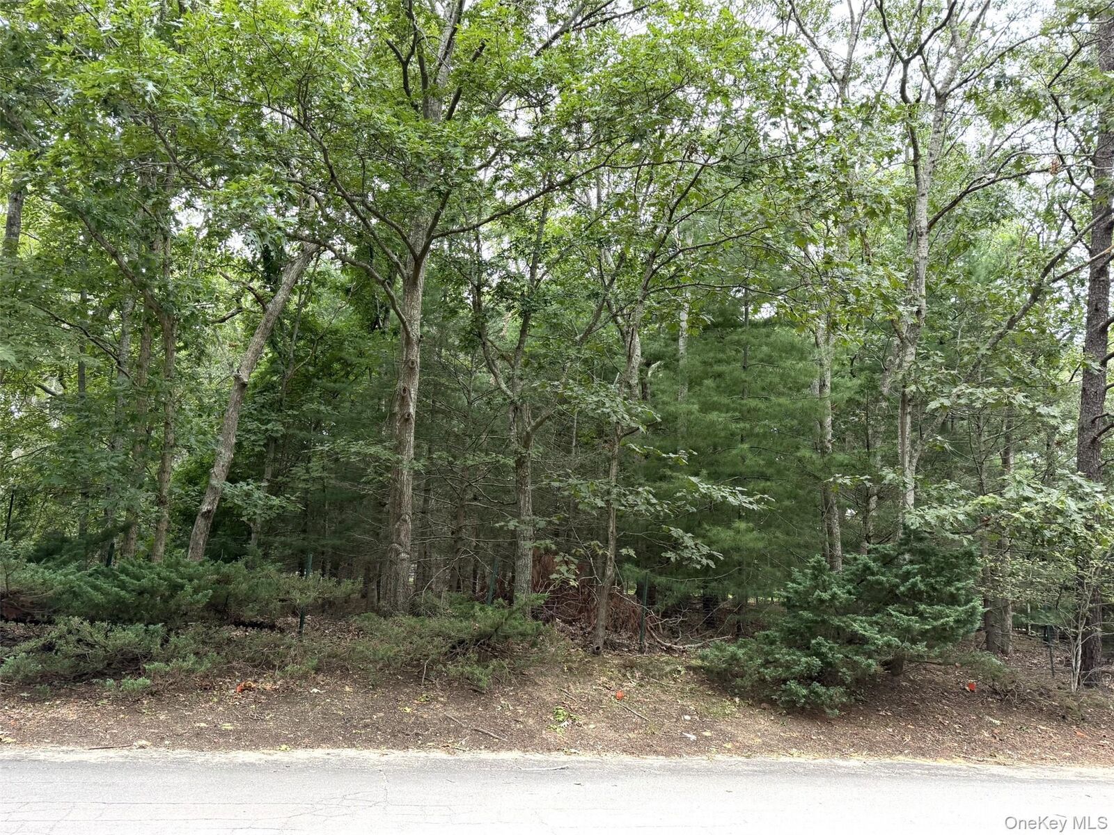 Property Photo:  4 Olive Street  NY 11937 