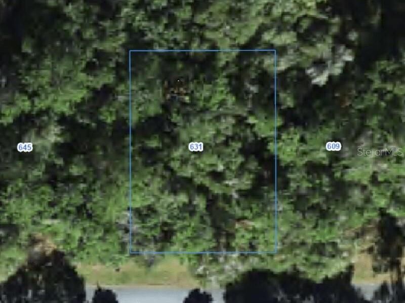 Property Photo:  631 W Grapewood Lane  FL 34434 