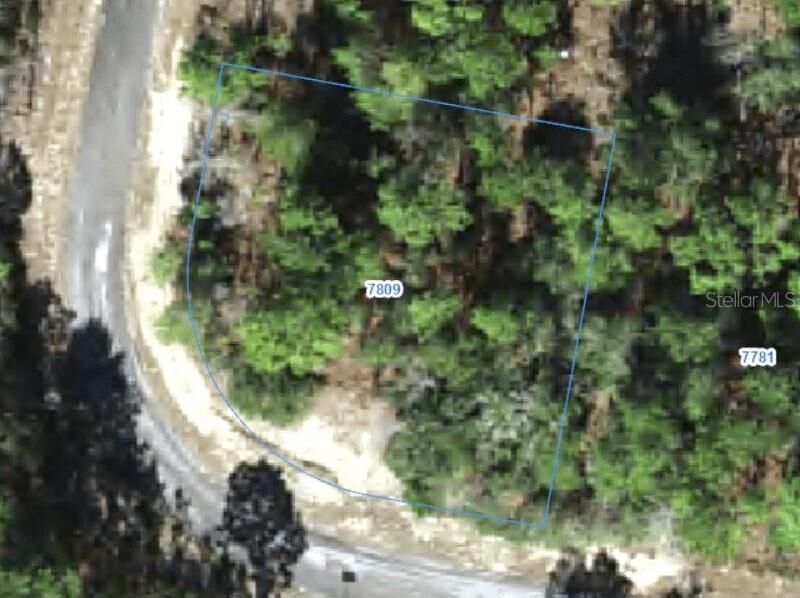 Property Photo:  7809 N Ibsen Drive  FL 34433 